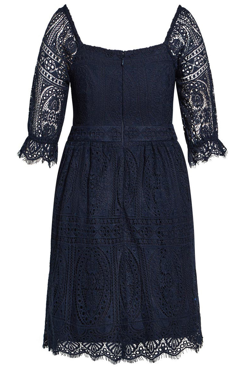 Black Eyelash Lace Square Neck Plus Size Dress