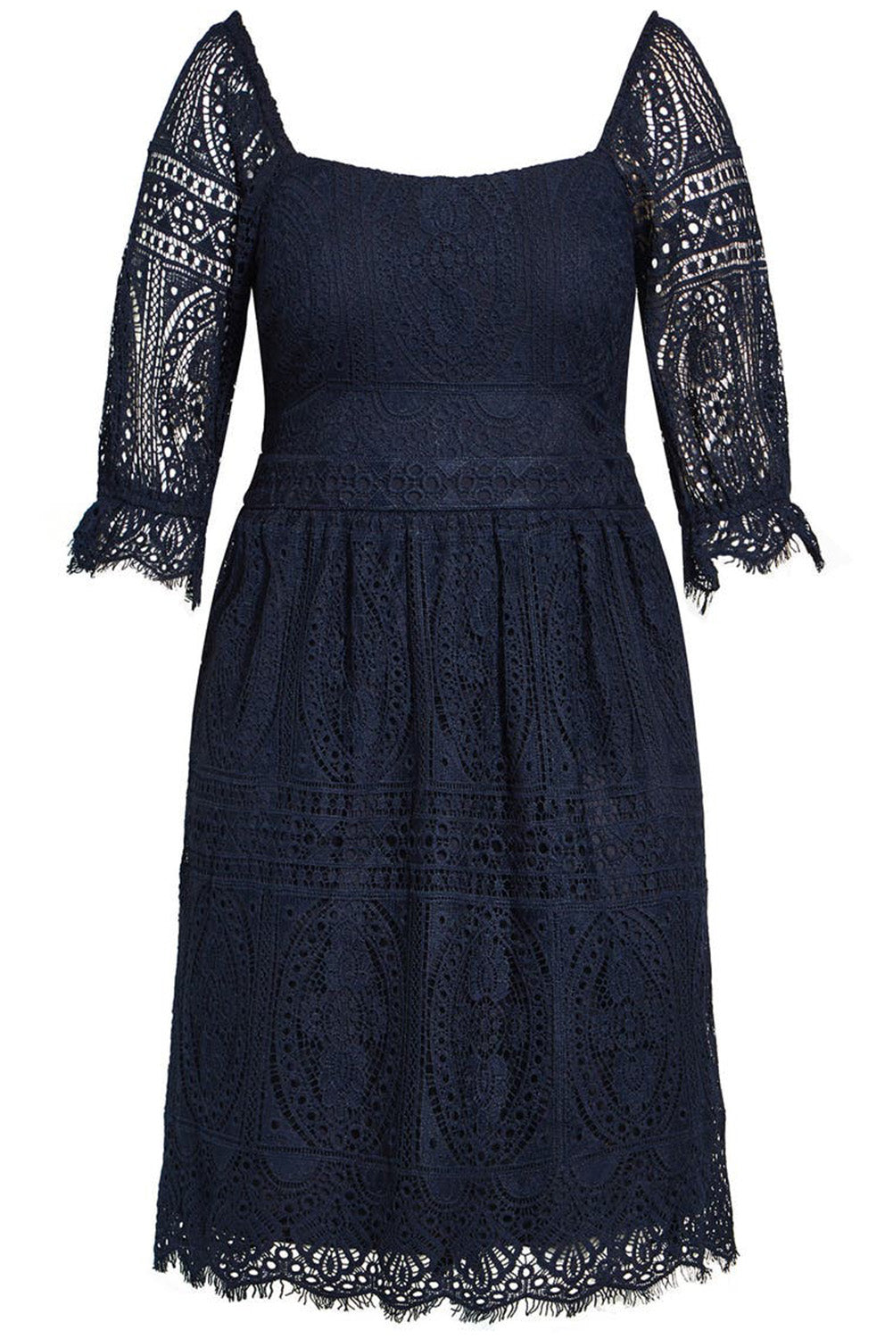 Black Eyelash Lace Square Neck Plus Size Dress