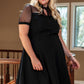 Black Plus Size Collared Mesh Yoke Fit Flare Dress