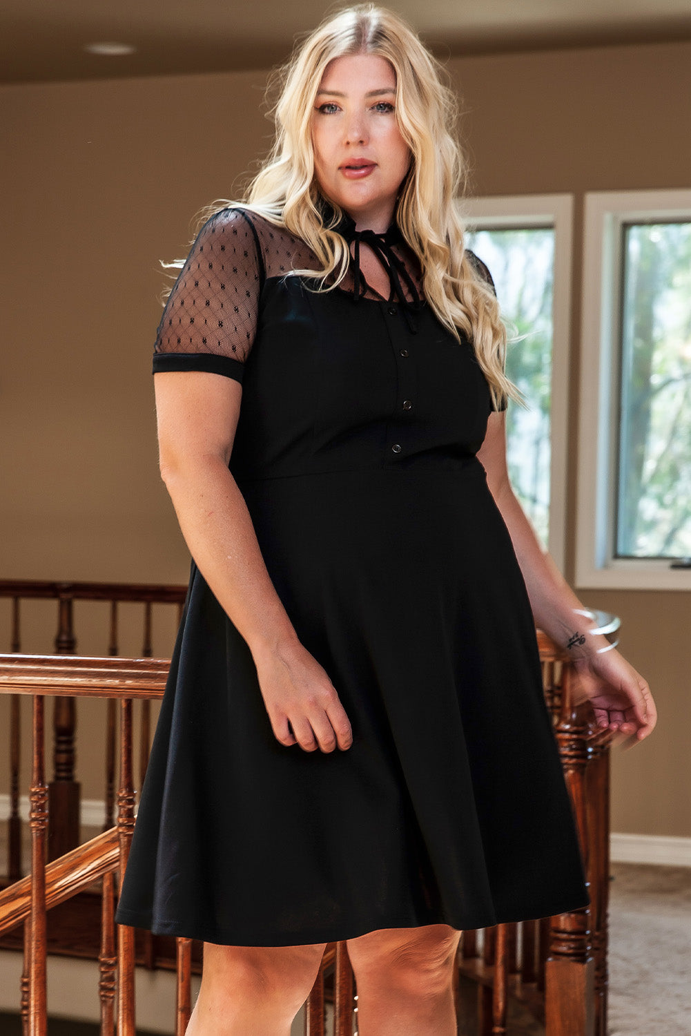 Black Plus Size Collared Mesh Yoke Fit Flare Dress