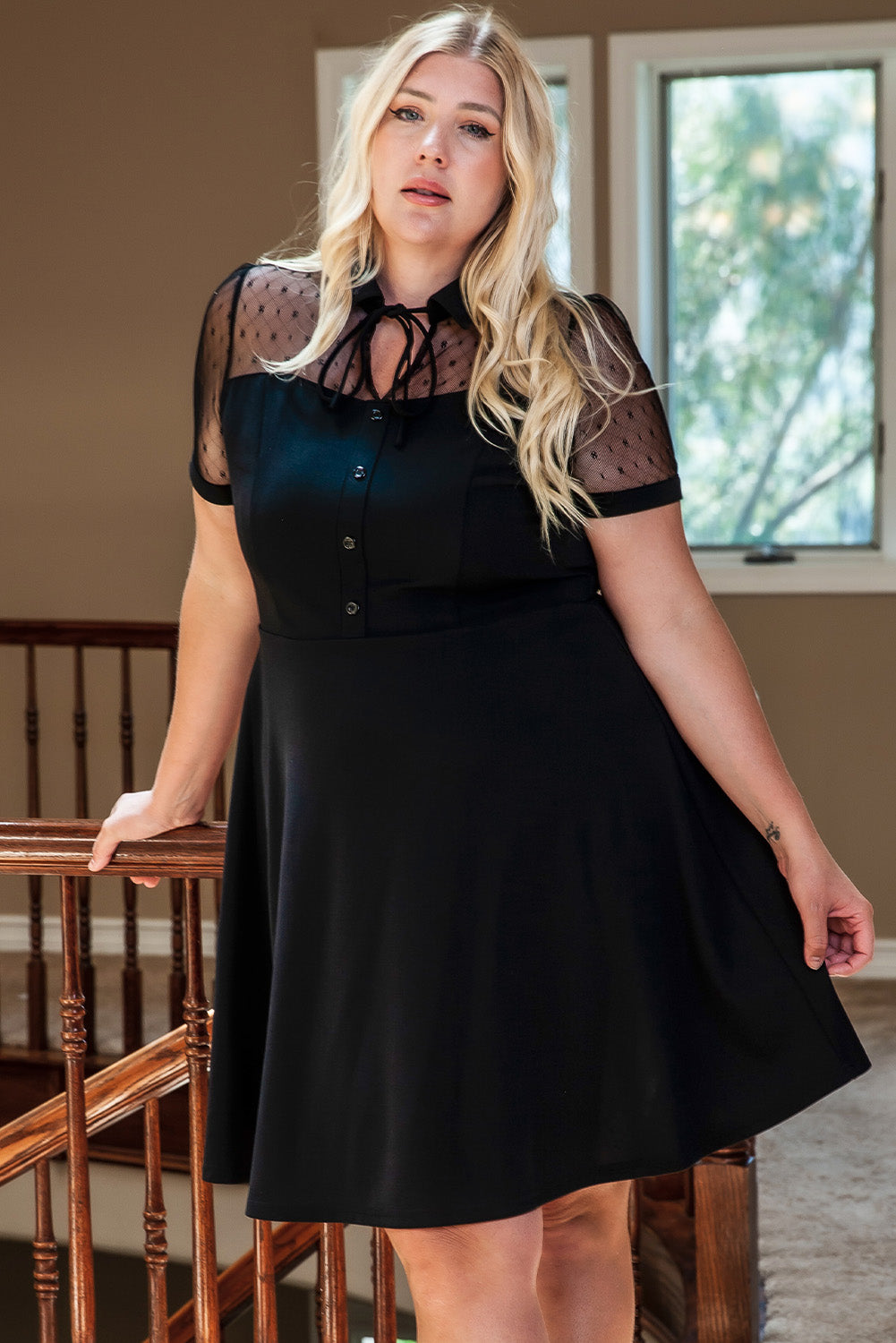 Black Plus Size Collared Mesh Yoke Fit Flare Dress