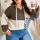 Brown Plus Size Color Block Patchwork Knotted Back Loose Fit Sweater